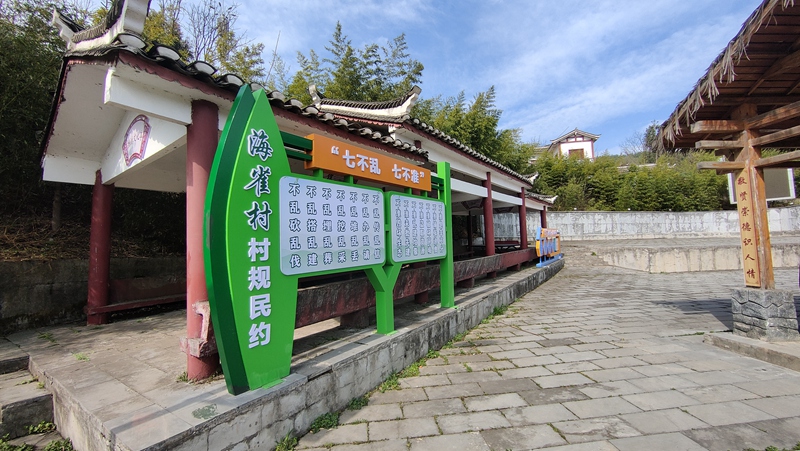 貴州海雀村：青山變金山 碳票變鈔票的綠色傳奇