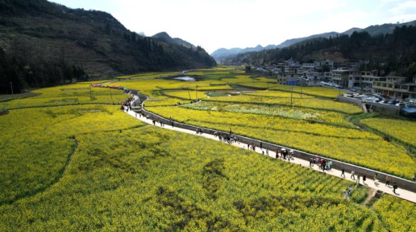 修文縣2024年“相約山水六屯·邂逅五色長(zhǎng)田”活動(dòng)在六屯鎮(zhèn)舉行