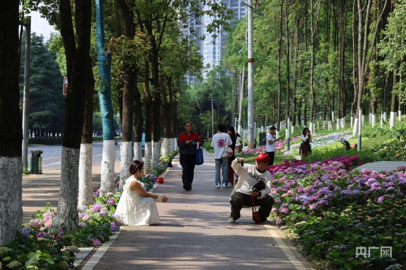 何必遠(yuǎn)行？20分鐘逛公園感受貴陽(yáng)“幸福半徑”