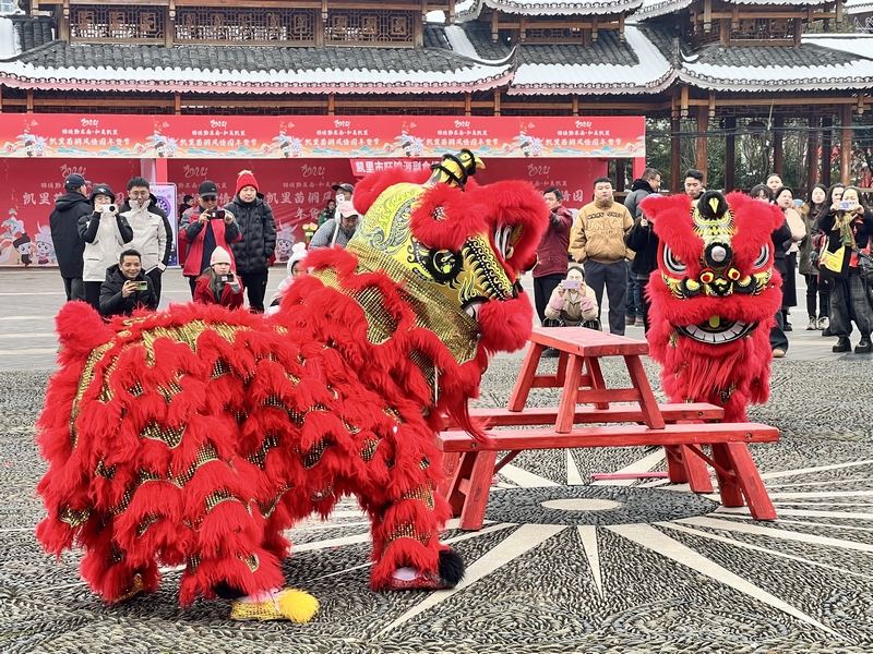 市民紛紛前來(lái)看表演、購(gòu)年貨。