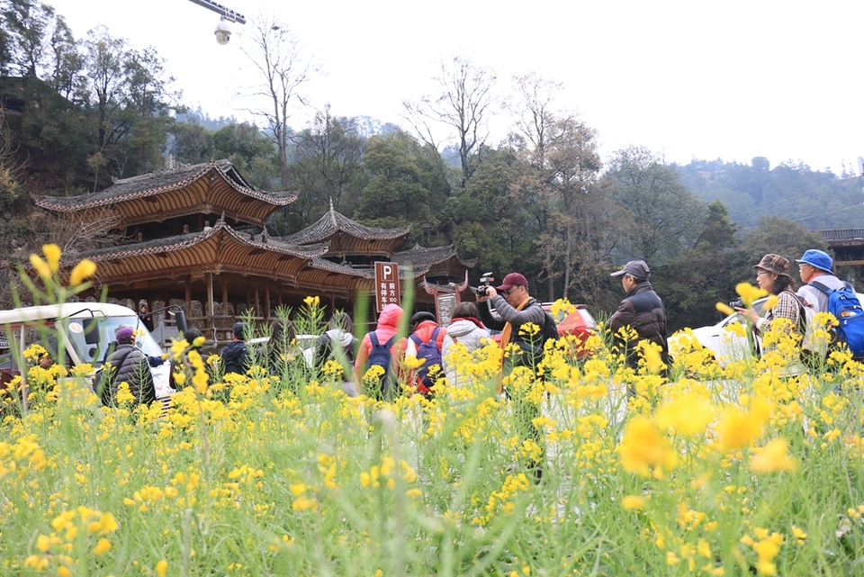 貴州雷山郎德苗寨：油菜花盛景催生“花經(jīng)濟(jì)”_fororder_圖為郎德游客在拍照留念.JPG