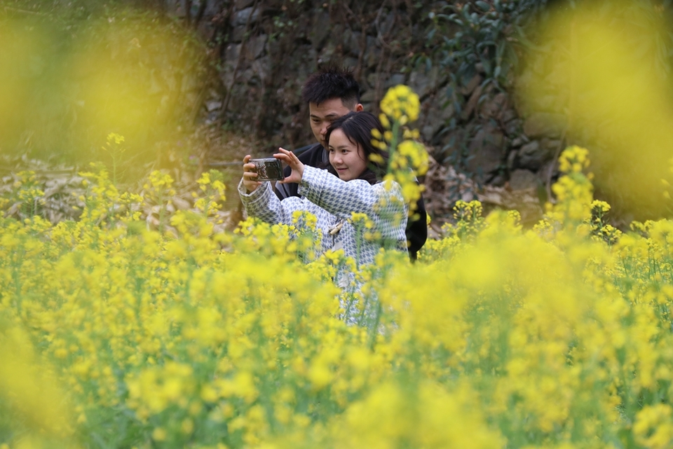 貴州雷山郎德苗寨：油菜花盛景催生“花經(jīng)濟(jì)”_fororder_圖為游客在旅拍2.JPG