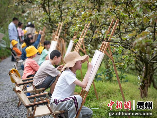 貴州天柱：以花為媒激活“賞花經(jīng)濟”