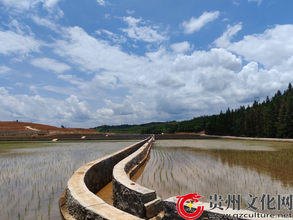 黎平縣：耕地占補平衡項目建設顯成效