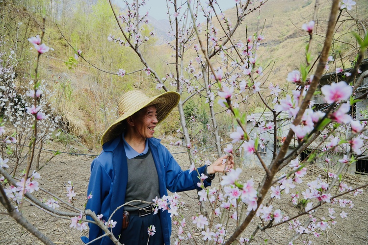 貴州水城陡箐“三朵花” 接二連三富農(nóng)家