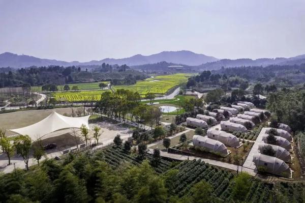 在這里穿越千年！浙江安徽這兩個考古遺址公園獲封“國家級”