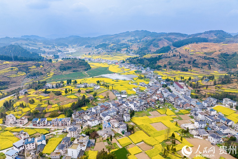 3 航拍如詩(shī)如畫(huà)的貴州省遵義市桐梓縣官倉(cāng)鎮(zhèn)紅旗村。 人民網(wǎng)記者 涂敏 攝