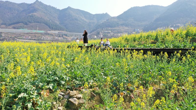 神采八卦園游客照 （余甚君拍攝）.JPG