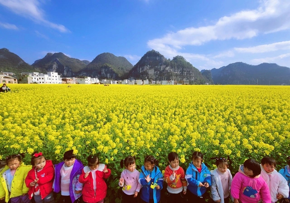 貴州都勻平浪鎮(zhèn)：春色正濃 花開爛漫 邀你共赴一場花海盛宴_fororder_微信圖片_20240308121237