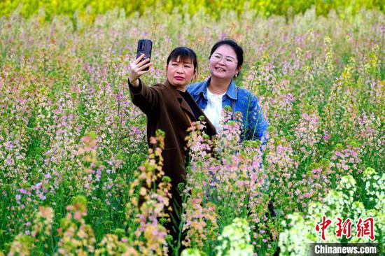 3月12日，游客在七彩油菜花田間自拍?！±钌荷?攝