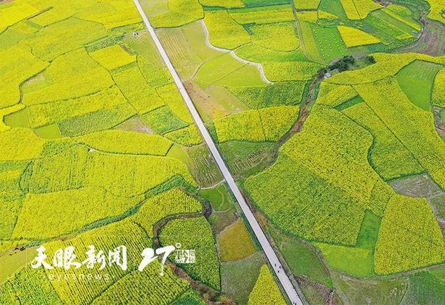 上春山 賞百花｜莫負黔地好光景 春游貴州正當時