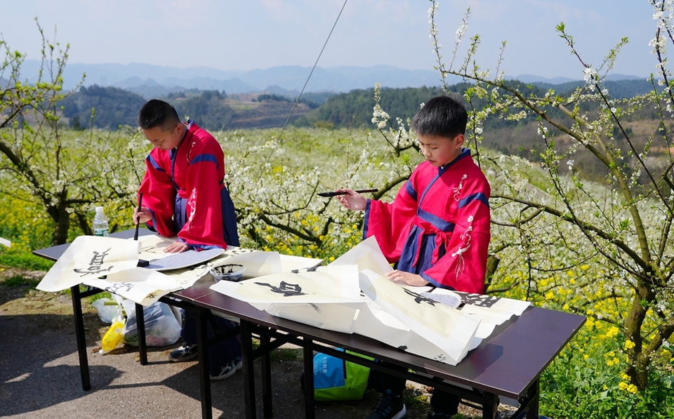 貴州鎮(zhèn)遠(yuǎn)舉行第二屆“花語節(jié)”活動(dòng) 邀游客游古城賞春景_fororder_微信圖片_20240324151853