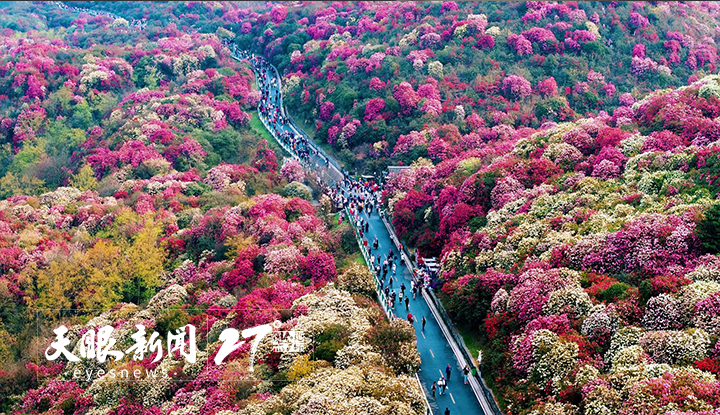 踏青賞花 春日“打野”｜貴州清明假期出行熱度創(chuàng)新高