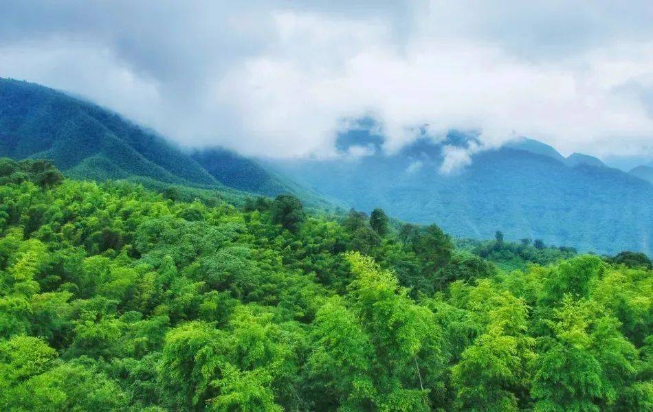 到貴州空氣清新的山林間，做最快樂的自己！