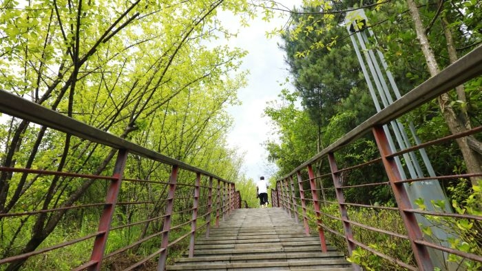 5 翻修、維護過后的登山步道