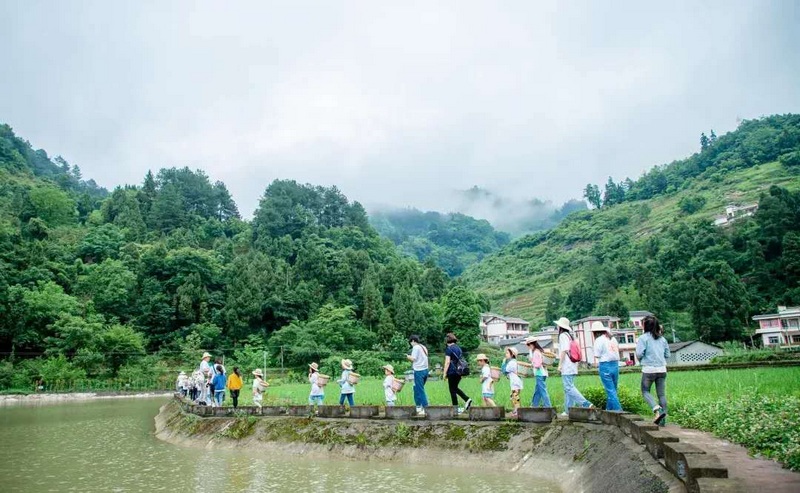 習水縣仙源鎮(zhèn)：“城市候鳥”的避暑康養(yǎng)福地