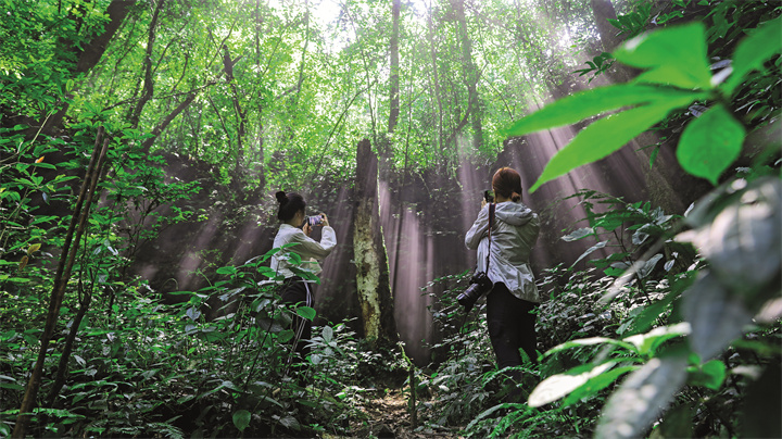 在原始森林中學(xué)習(xí)辨認(rèn)植物。荔旅集團(tuán)-何錦越.jpg