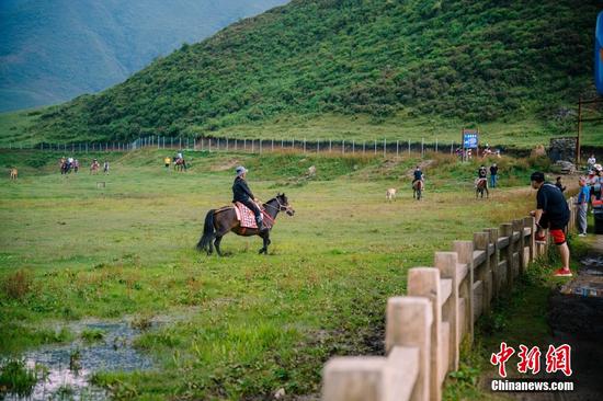 可以在西南地區(qū)海拔最高、面積最大的草場(chǎng)——烏蒙大草原，策馬奔騰。