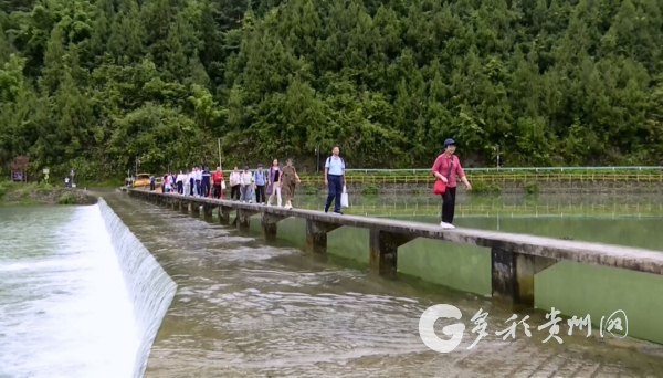 珠海游客為鳳岡美景點贊