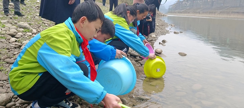 同學(xué)們將中華倒刺鲃魚(yú)苗放流赤水河.jpg