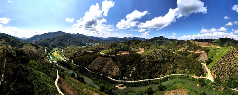 7、望謨縣洛郎村萬畝板栗示范基地。.JPG