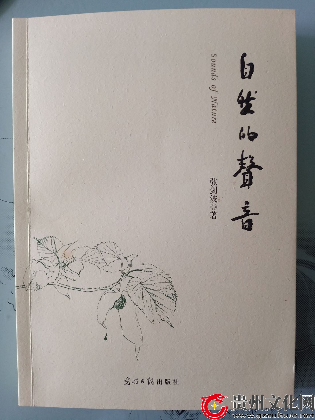 土家族作家張劍波《自然的聲音》新書分享會在江口舉行