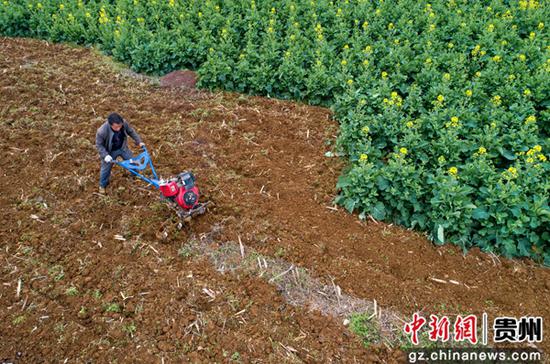 3月5日，貴州省黔西市洪水鎮(zhèn)永平村，村民駕駛微耕機(jī)耕地（無人機(jī)照片）。