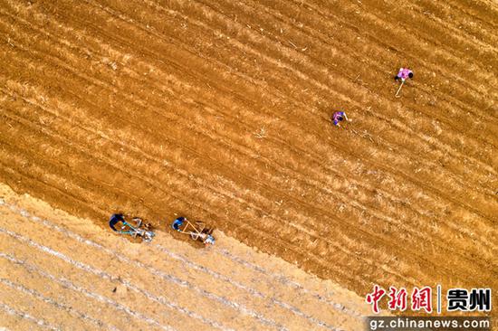 3月5日，貴州省黔西市杜鵑街道岔白社區(qū)，村民駕駛微耕機(jī)在田間起壟（無人機(jī)照片）。