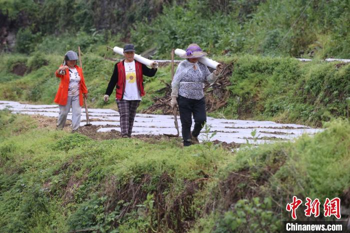 4月18日，農(nóng)戶在基地完成農(nóng)事后返回途中?！■暮陚?攝