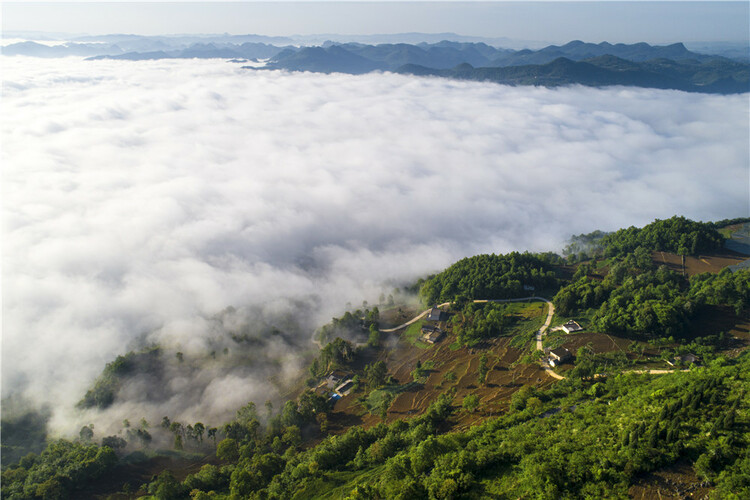 奮進(jìn)新征程 建功新時(shí)代·老區(qū)新貌丨“轉(zhuǎn)折之城”再寫傳奇