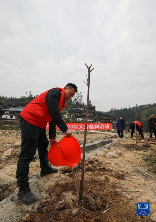 貴州：義務(wù)植樹為大地添綠