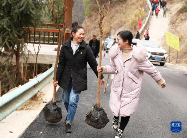 貴州：義務(wù)植樹為大地添綠