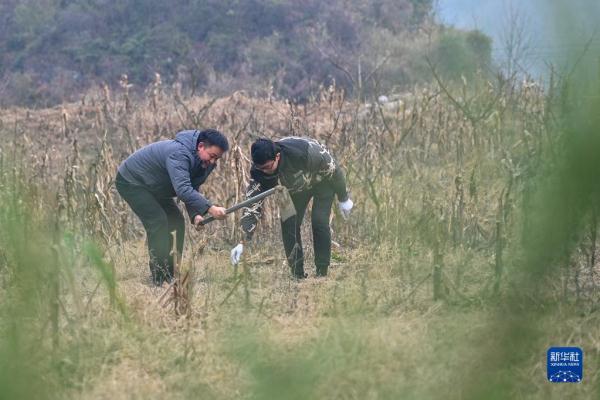 貴州：義務(wù)植樹為大地添綠