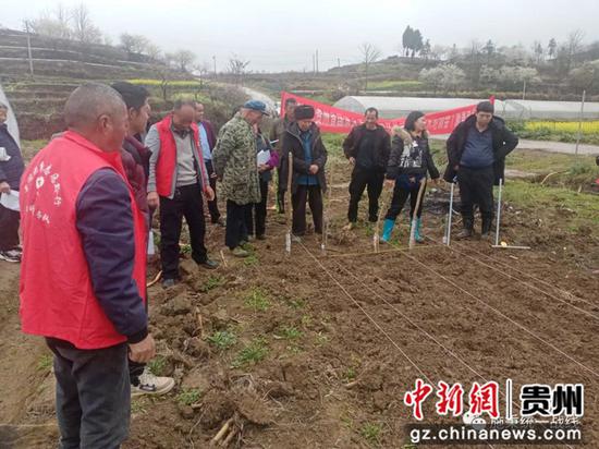 圖為施秉縣土專家、田秀才深入田間地頭指導農業(yè)發(fā)展現(xiàn)場