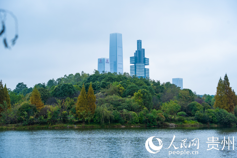 城市地標(biāo)與綠水青山相得益彰。人民網(wǎng) 陽(yáng)茜攝