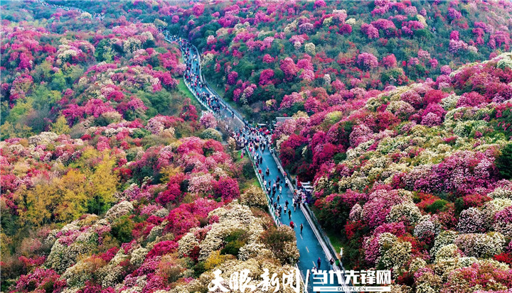 春風(fēng)中 如約而至的貴州文旅盛會(huì)