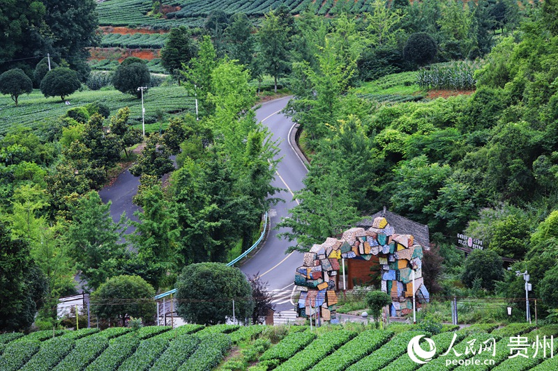 以路興茶 以茶促旅 遵義湄潭：一條路“串”起山鄉(xiāng)群眾幸福生活