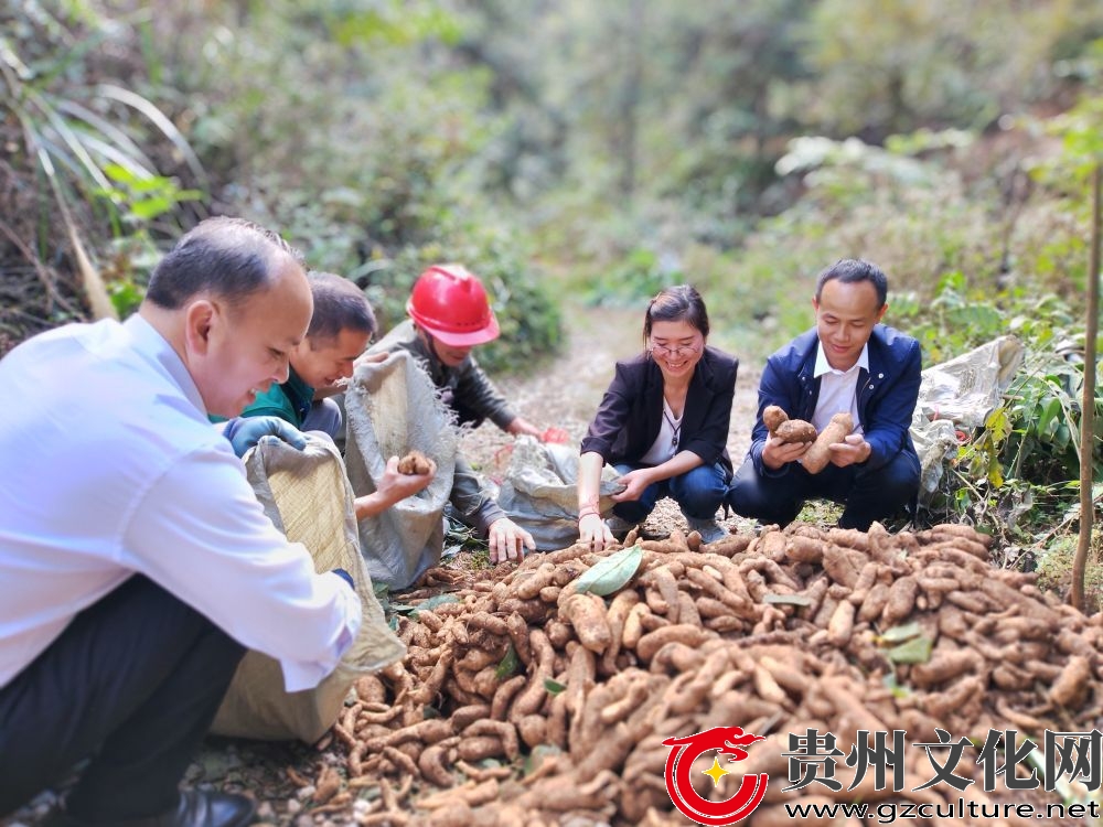 黎平縣茅貢臘洞：黨建引領(lǐng)賦動(dòng)能 鄉(xiāng)村振興譜新篇