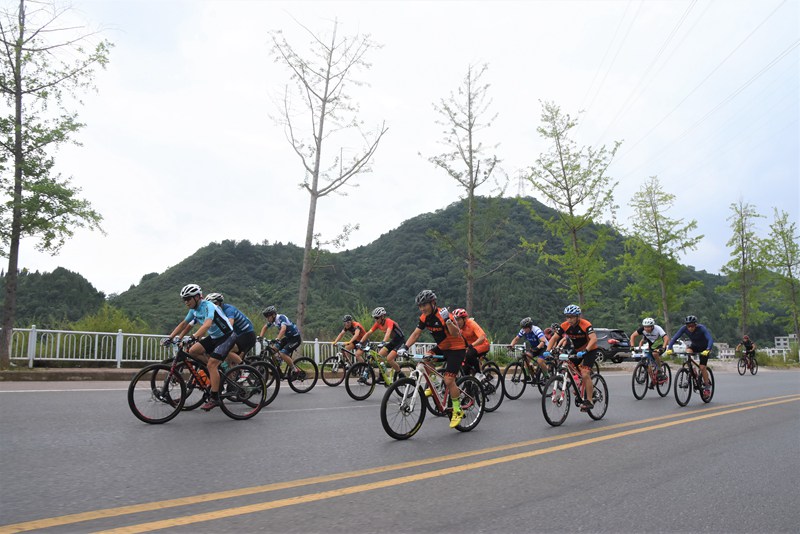 山地自行車公路賽。楊璐攝