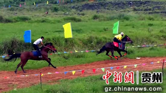 貴州三都中和鎮(zhèn)水族部落傳統(tǒng)賽馬大賽開賽