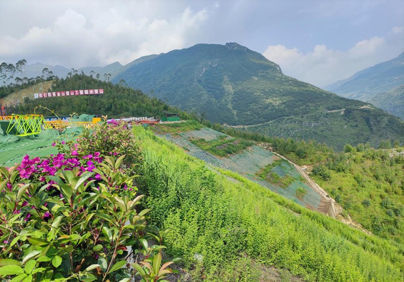 拼裝場填方邊坡綠化。