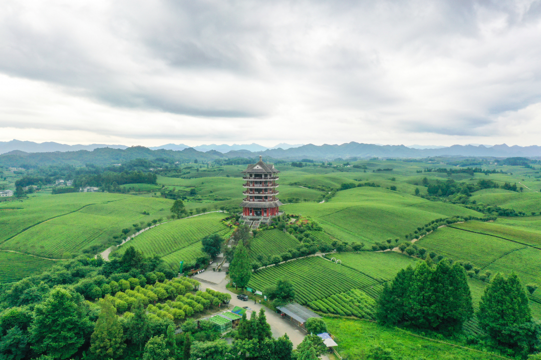 走進(jìn)湄潭27°茶海路：貴州第一條國家級(jí)最美農(nóng)村路