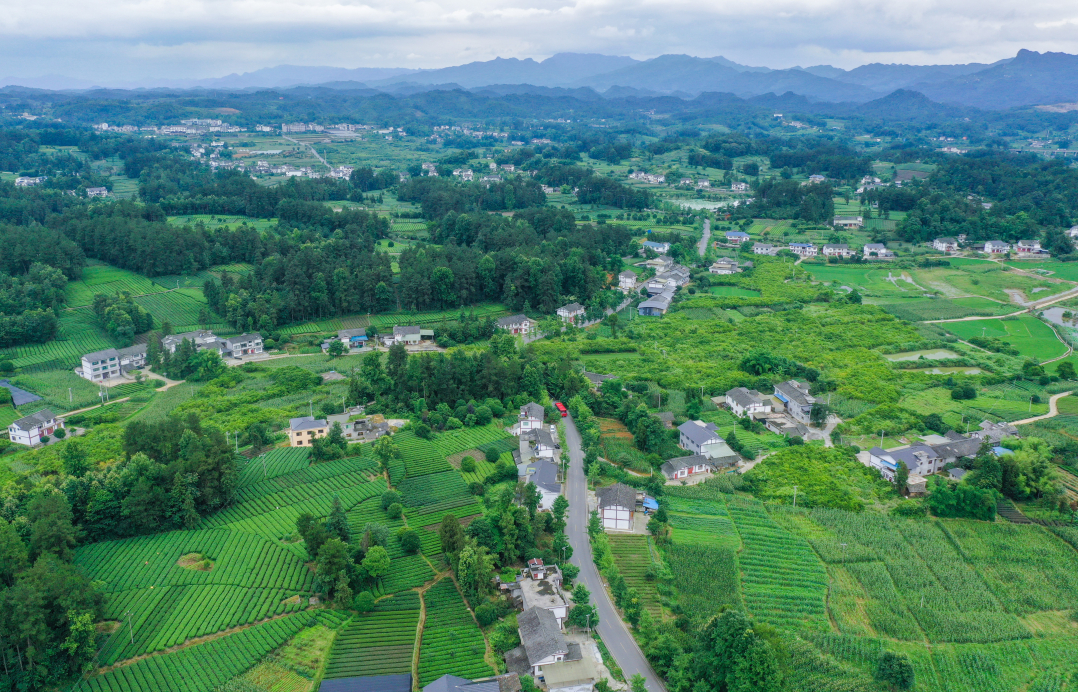 湄潭縣湄潭27°茶海路。貴州日?qǐng)?bào)天眼新聞?dòng)浾?劉青攝.jpg