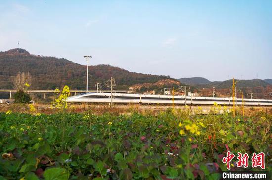 圖為一列動車組列車在貴廣高鐵貴州省從江縣洛香鎮(zhèn)段附近行駛。吳德軍 攝