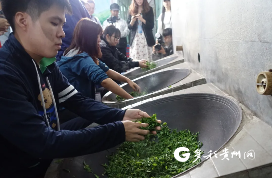 寫水書炒茶葉 外國學(xué)生沉浸式體驗(yàn)黔南非遺文化