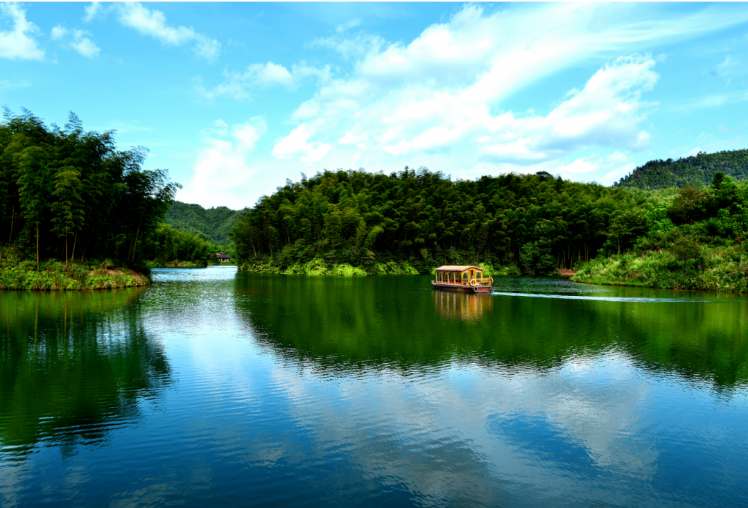 赤水竹海國家森林公園.jpg