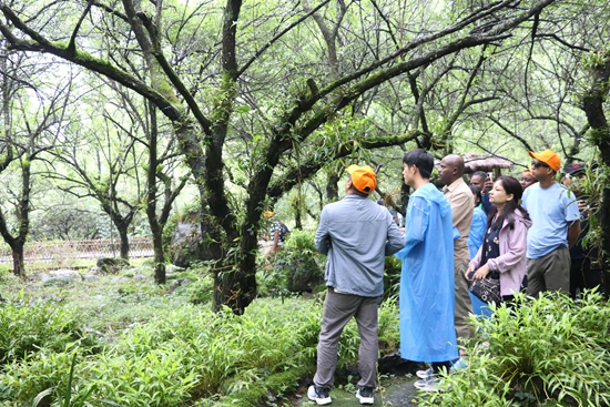 發(fā)展中國(guó)家生物多樣性可持續(xù)發(fā)展研修班貴州荔波研修之旅圓滿結(jié)束_fororder_在黎明關(guān)水族鄉(xiāng)萬(wàn)畝梅參觀君子臺(tái)梅蘭石斛產(chǎn)業(yè)示范基地.JPG