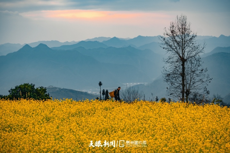 通往春天的路上 領(lǐng)略貴州最美風(fēng)景線