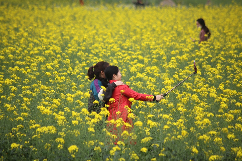 與花同框（姚祖銀  攝）