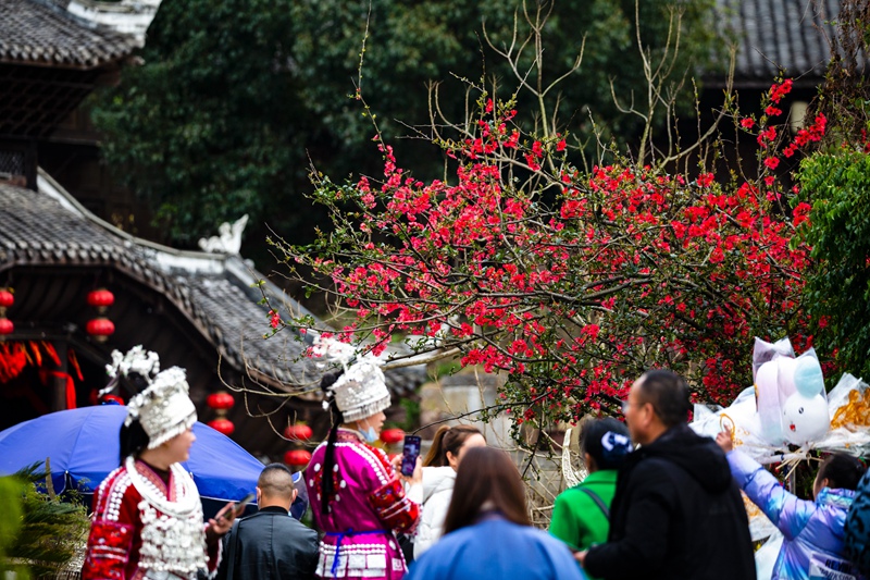 賞花（姚祖銀  攝）